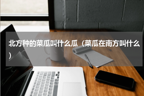北方种的菜瓜叫什么瓜（菜瓜在南方叫什么）