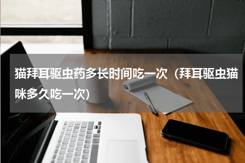 猫拜耳驱虫药多长时间吃一次（拜耳驱虫猫咪多久吃一次）