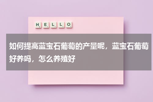 如何提高蓝宝石葡萄的产量呢，蓝宝石葡萄好养吗，怎么养殖好
