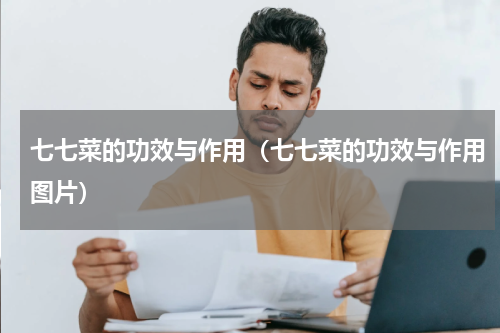 七七菜的功效与作用（七七菜的功效与作用图片）