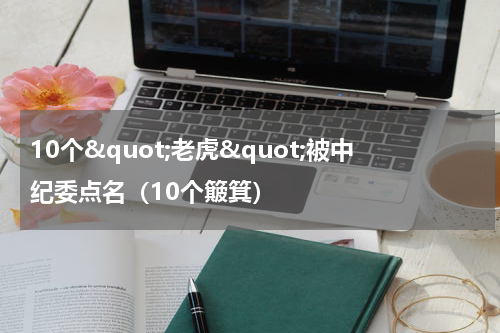 10个&quot;老虎&quot;被中纪委点名（10个簸箕）