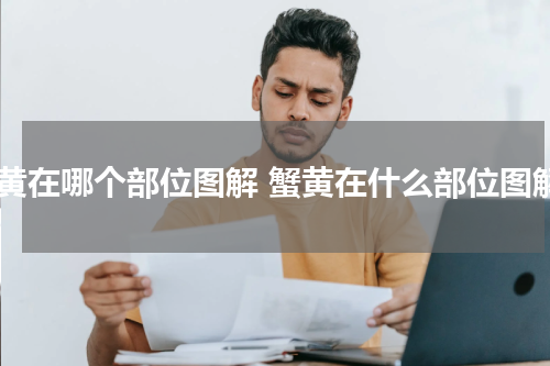蟹黄在哪个部位图解 蟹黄在什么部位图解