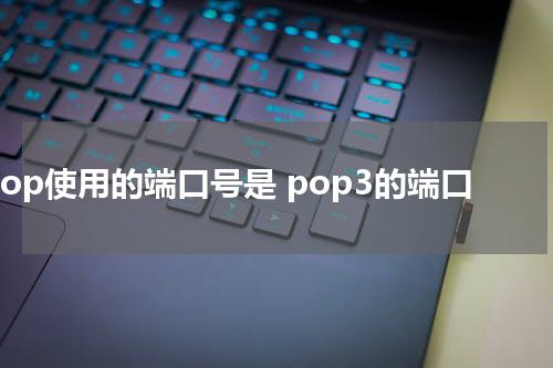 pop使用的端口号是 pop3的端口