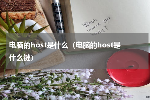 电脑的host是什么（电脑的host是什么键）