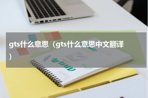 gts什么意思（gts什么意思中文翻译）