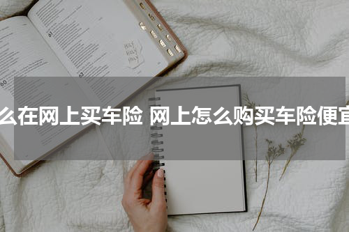 怎么在网上买车险 网上怎么购买车险便宜