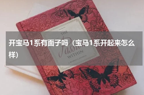开宝马1系有面子吗（宝马1系开起来怎么样）