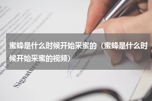 蜜蜂是什么时候开始采蜜的（蜜蜂是什么时候开始采蜜的视频）