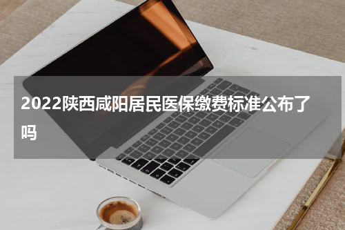 2022陕西咸阳居民医保缴费标准公布了吗