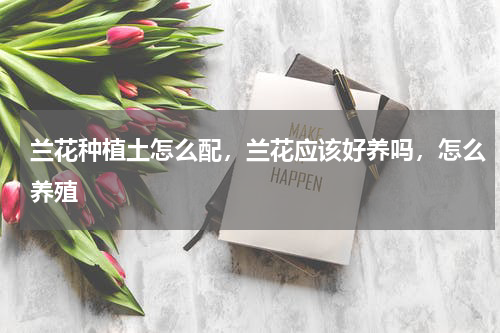 兰花种植土怎么配，兰花应该好养吗，怎么养殖