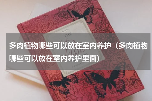 多肉植物哪些可以放在室内养护（多肉植物哪些可以放在室内养护里面）