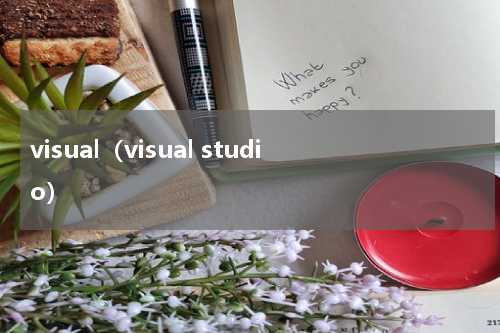 visual（visual studio）